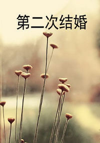 第二次结婚