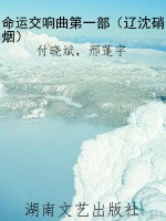 命运交响曲第一部（辽沈