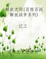 解放沈阳（百姓百战解放