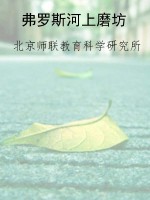 弗罗斯河上磨坊