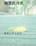 城里的月光