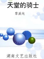 天堂的骑士