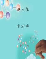 追太阳