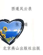 西遁风云录