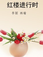 红楼进行时