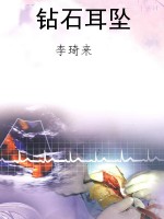 钻石耳坠