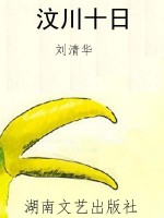 汶川十日