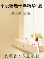 小说精选十年精华-夏