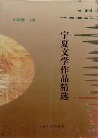 宁夏文学作品精选 小