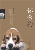怀念狗