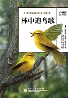 林中追鸟歌