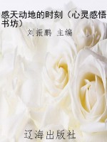 感天动地的时刻（心灵感