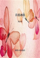 云岳诗选