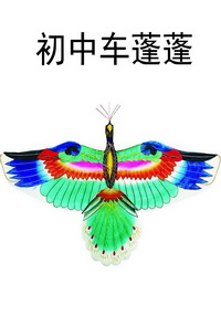 初中车蓬蓬