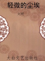 轻微的尘埃