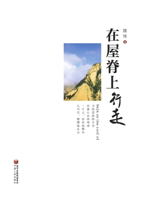 在屋脊上行走