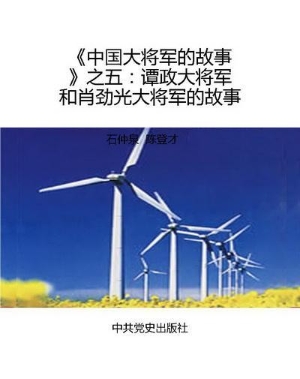 《中国大将军的故事》