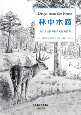 林中水滴