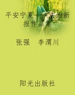 平安宁夏——《法治新