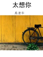 太想你