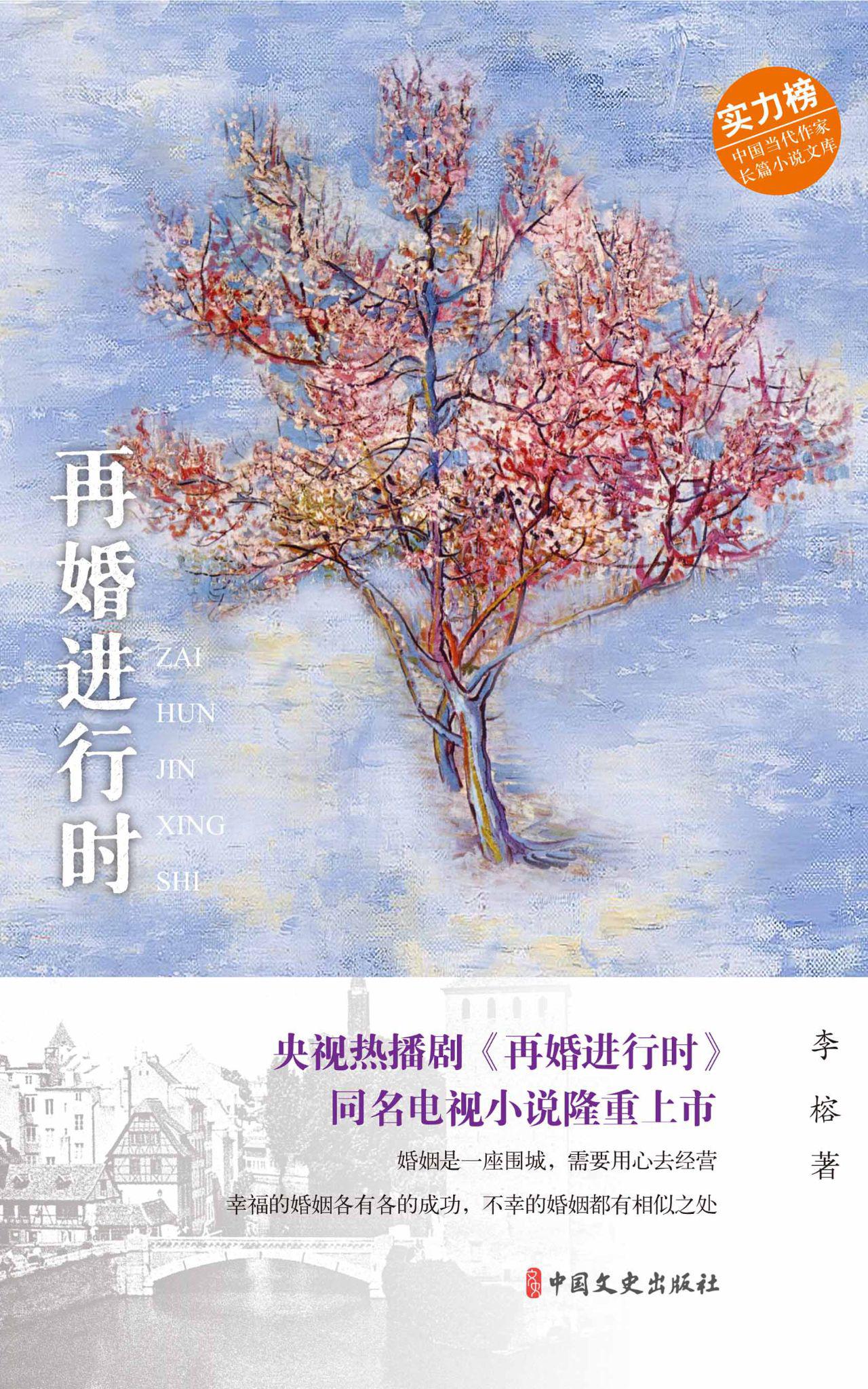 再婚进行时