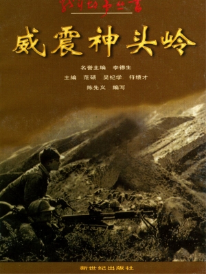 战斗故事丛书威震神头