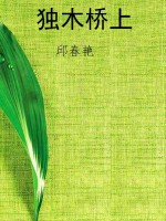 独木桥上