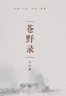 苍野录