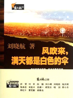 风吹来，满天都是白色的