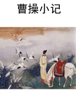 曹操小记