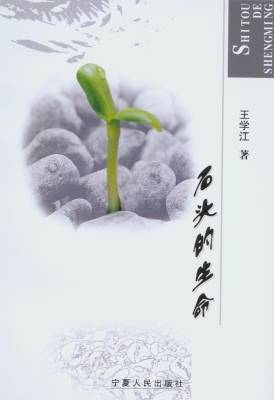 石头的生命