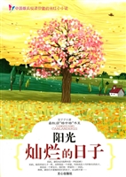 阳光灿烂的日子