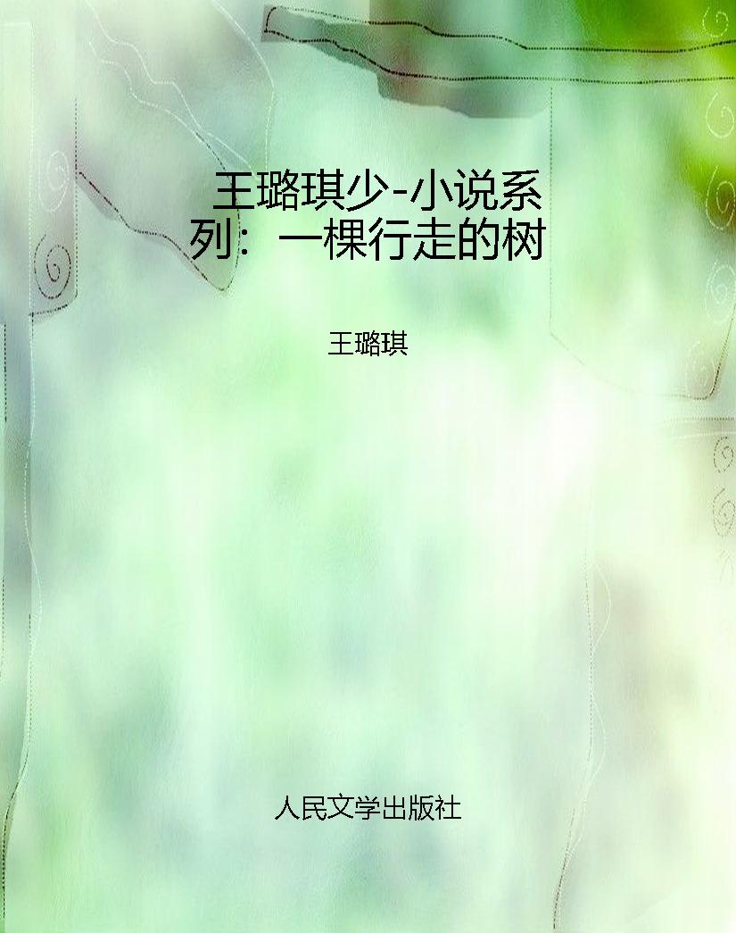 王璐琪少-小说系列：一