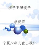 狮子王照镜子