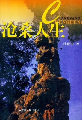 沧桑人生
