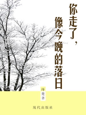 你走了，像今晚的落日