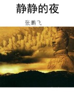 静静的夜