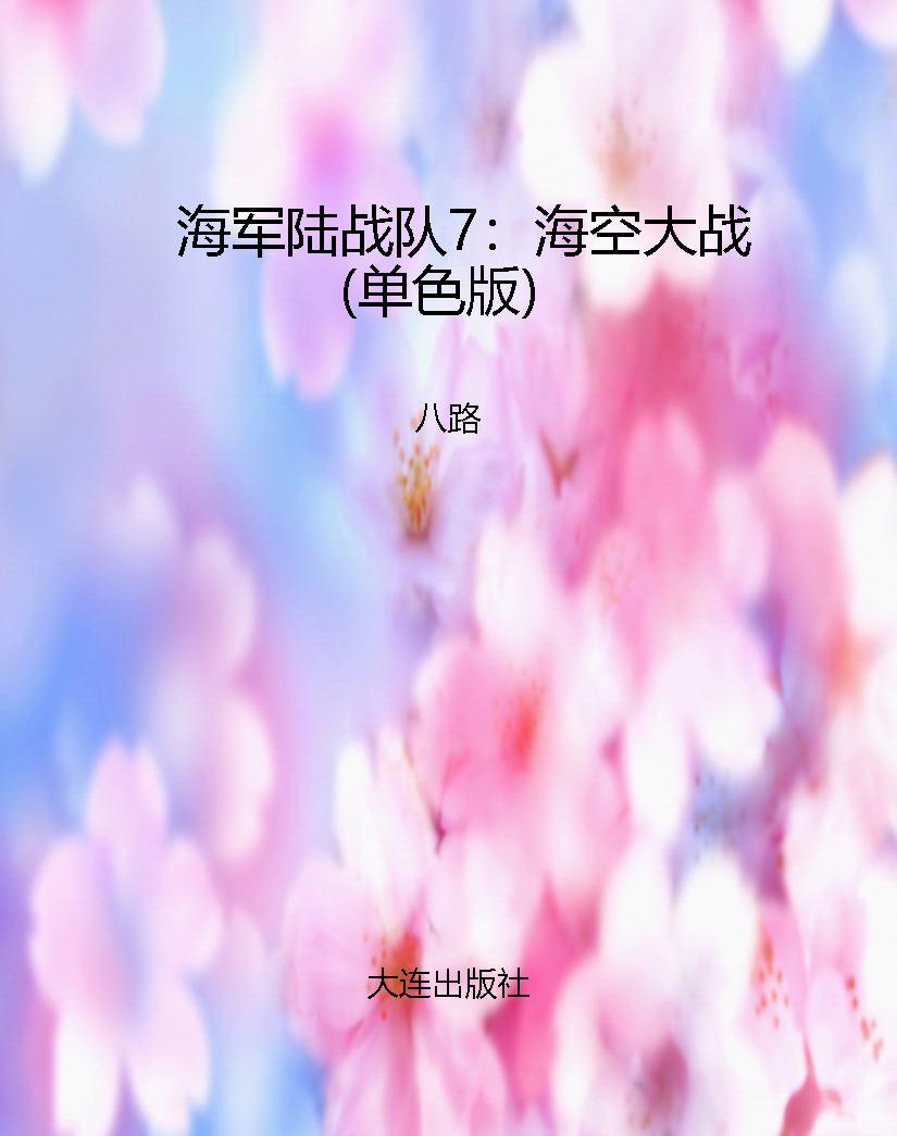 海军陆战队7：海空大战（