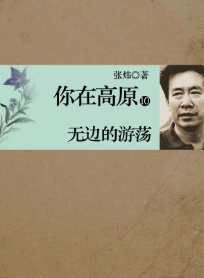 你在高原  第十部：无边