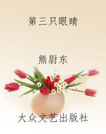 第三只眼睛