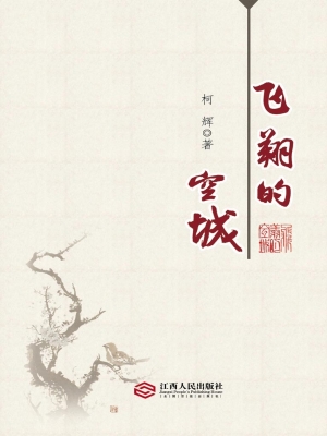 飞翔的空城