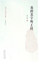 我的名字叫王村