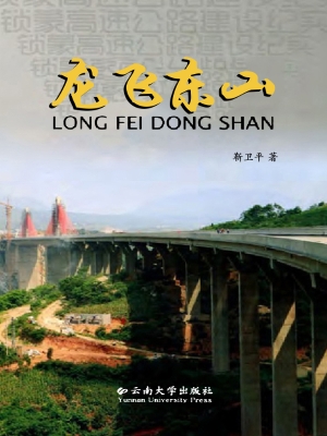 龙飞东山