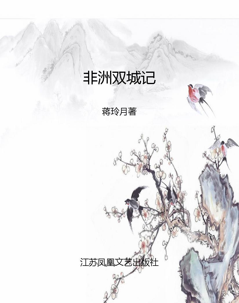 非洲双城记