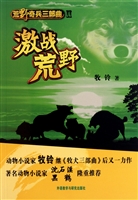 荒野奇兵三部曲 Ⅱ—