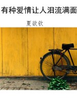 有种爱情让人泪流满面