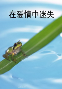 在爱情中迷失