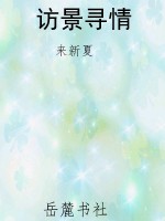访景寻情