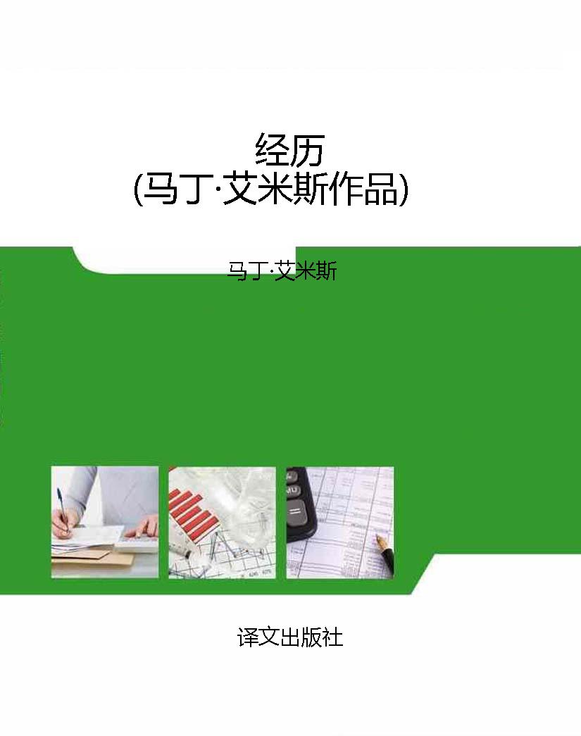 经历（马丁·艾米斯作品