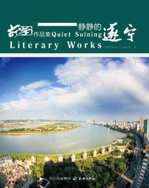 静静的遂宁——文学作